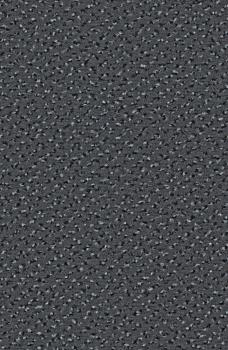 Preview: Rechteckbild vom Alexis